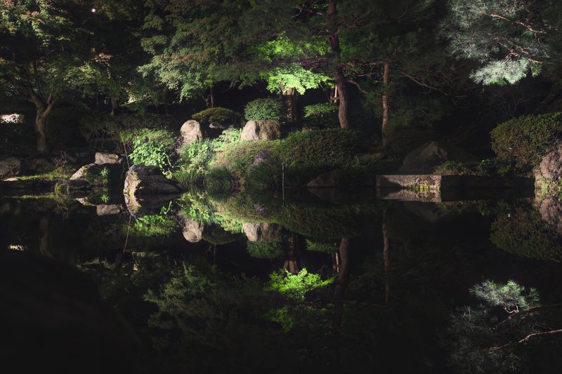 写真 54