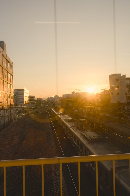 写真 59