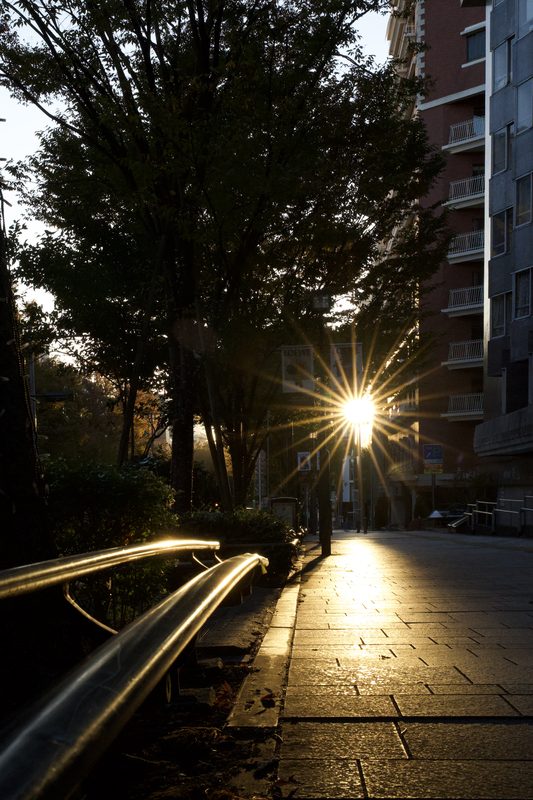 写真 60